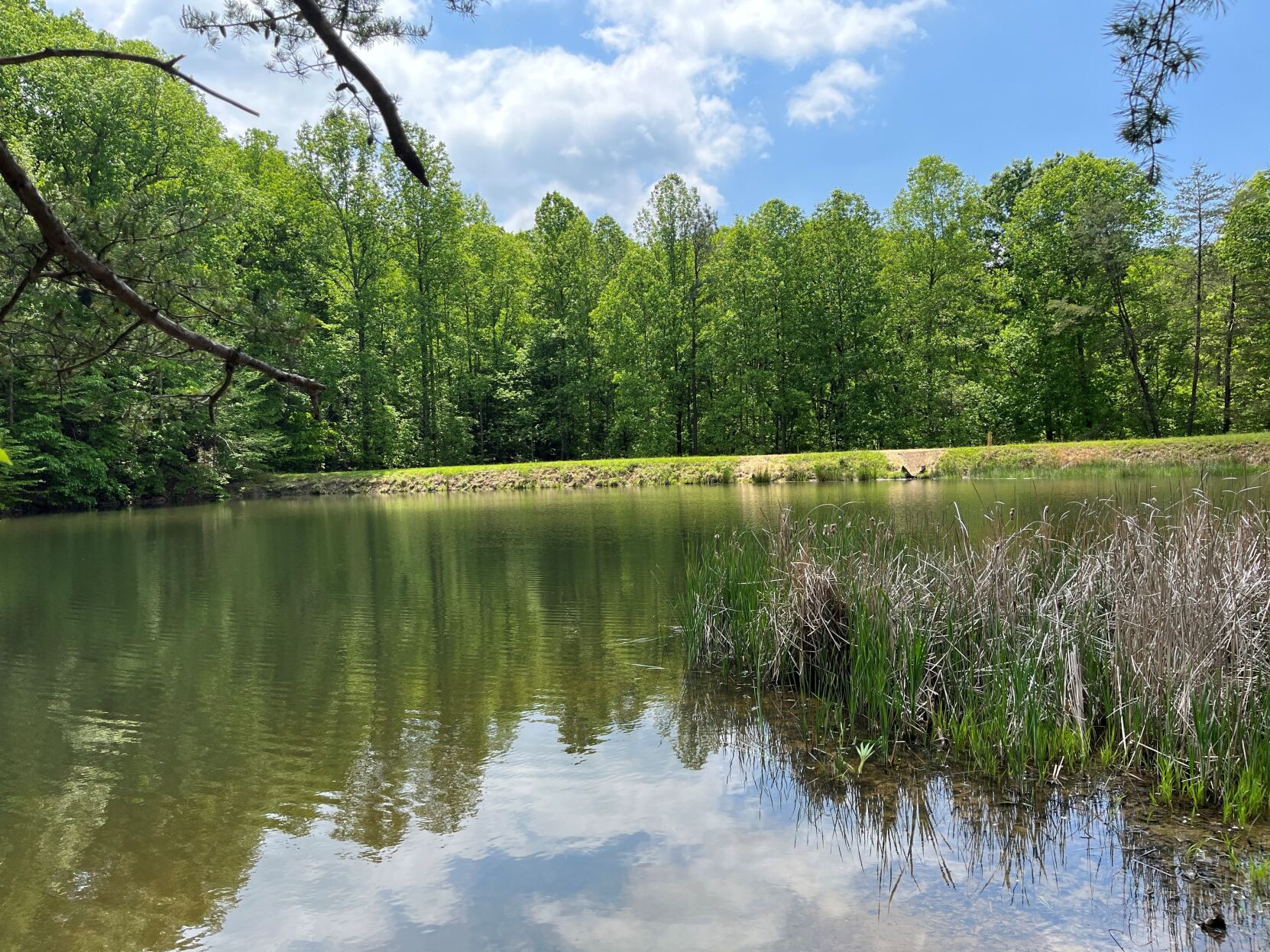 Mitchell Hill Lake Dam